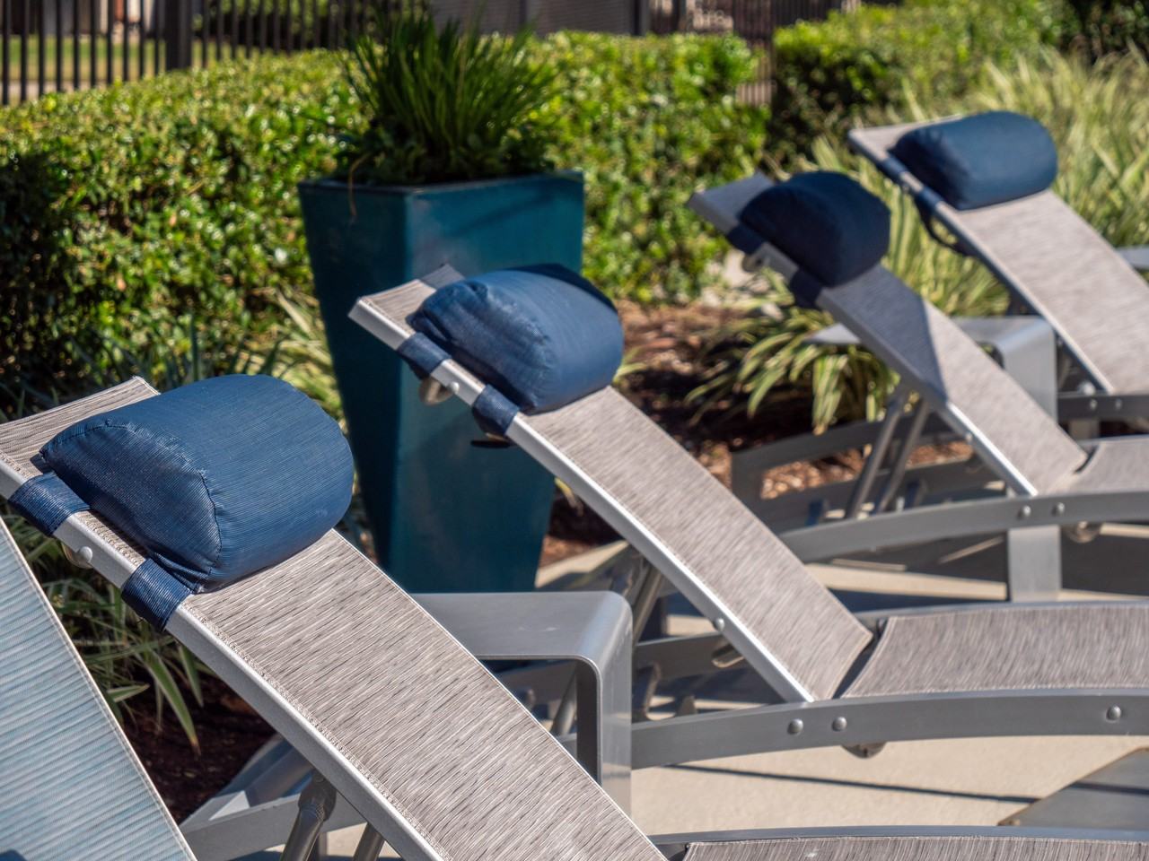 Berkshire Jones Forest - Photo 5 of 25