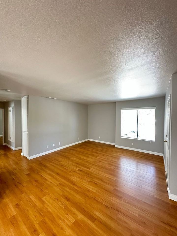 PECK - Photo 4 of 24