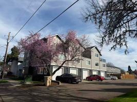 featured image of 2603 Sw Pickford St #104