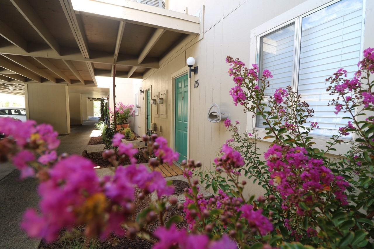 2305 Cheim Blvd #9 - Photo 6 of 6