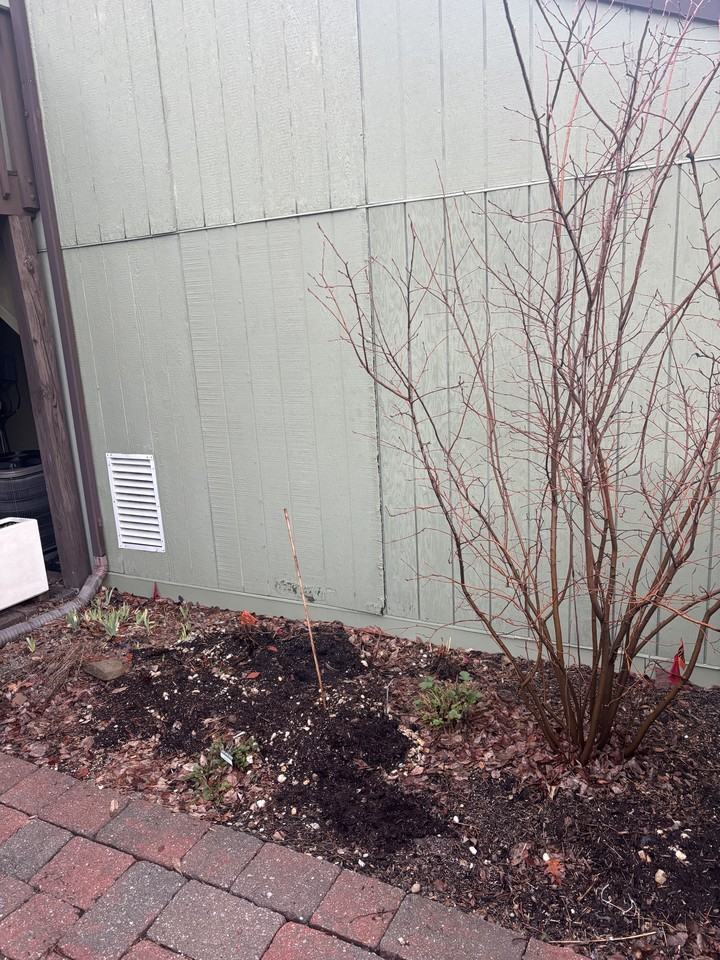 27A Darien #27ADARIEN - Photo 3 of 17