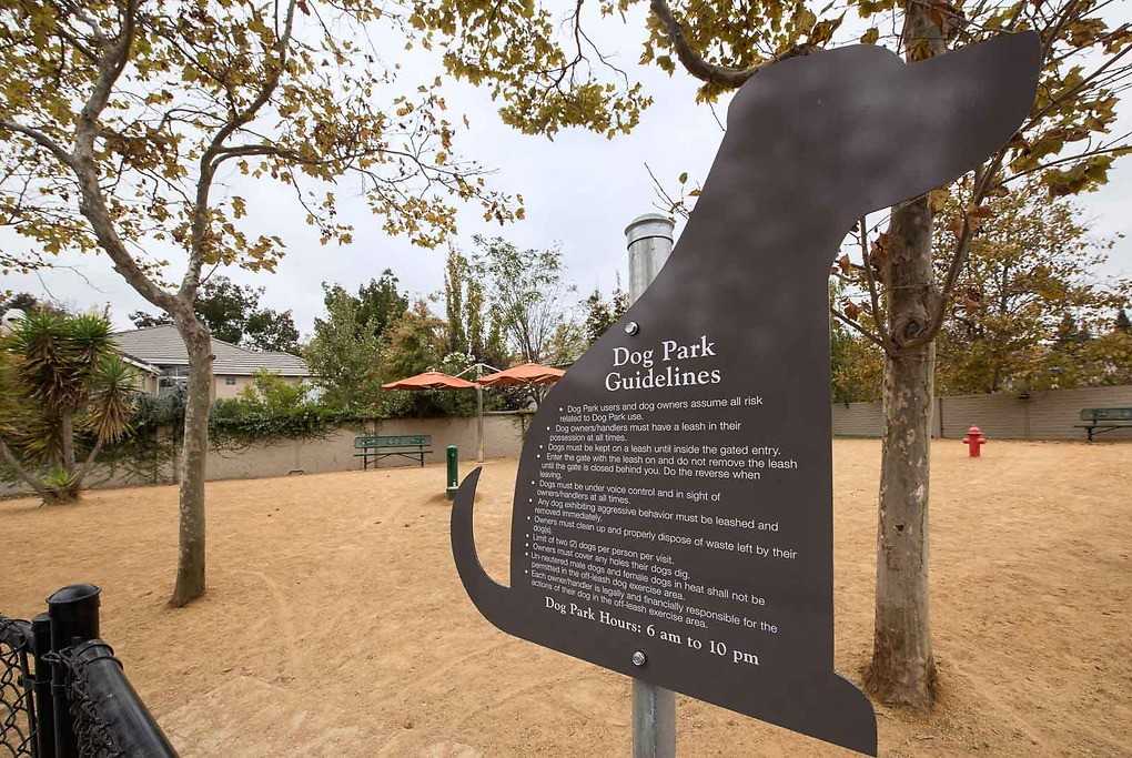 Bel Air - Photo 7 of 50