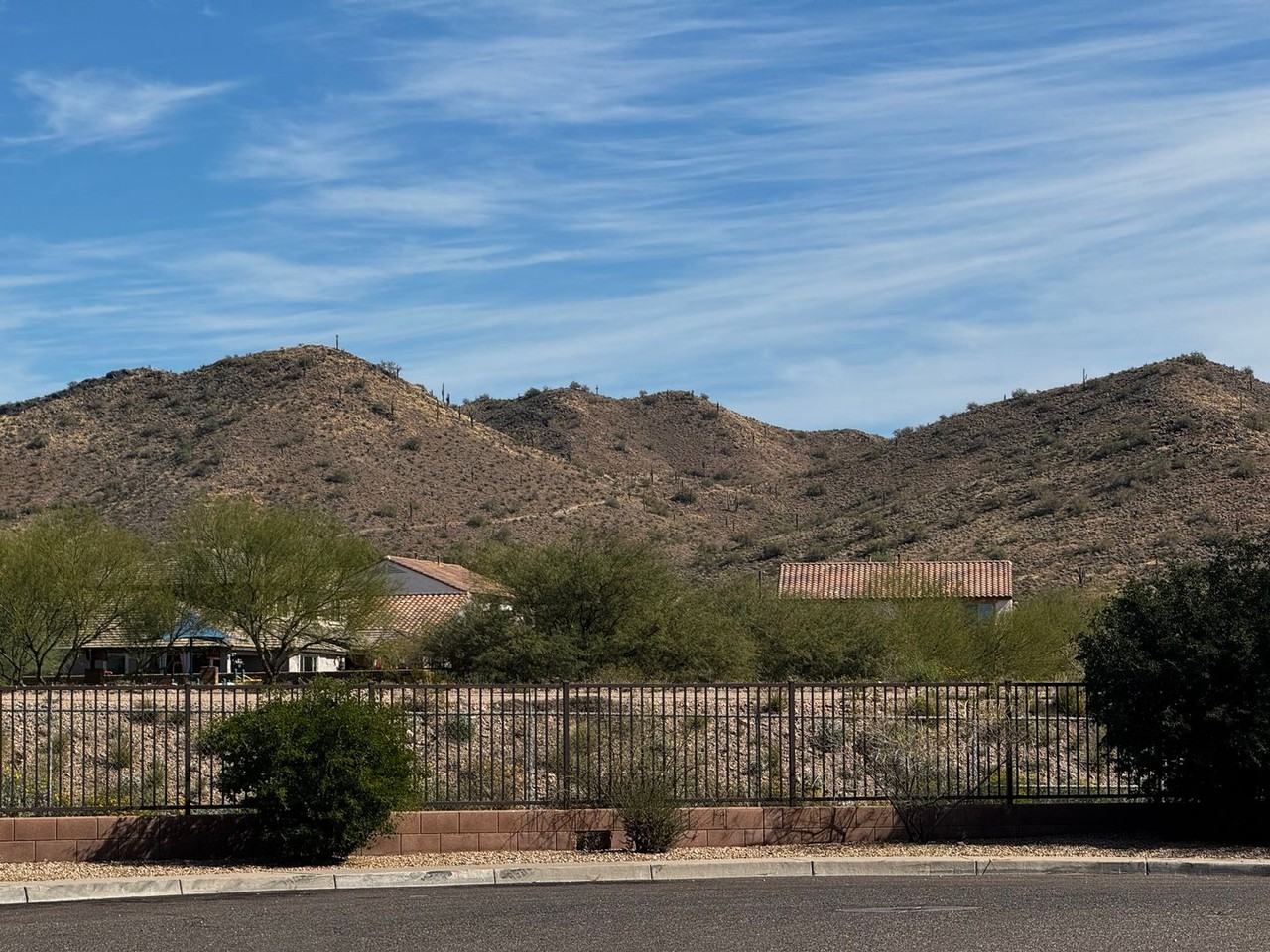 2420 W Cordia Ln - Photo 3 of 29