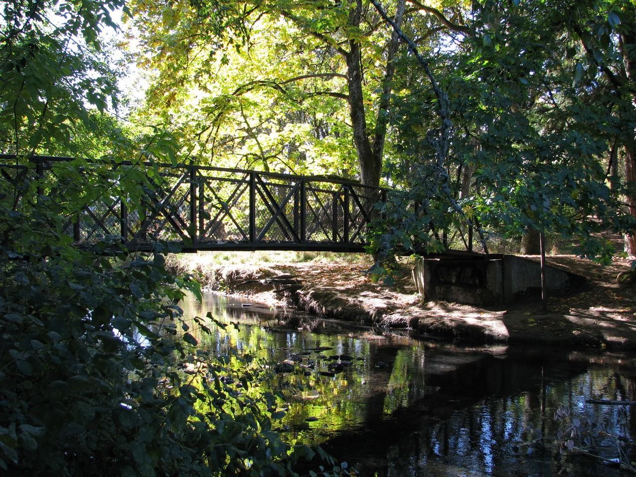 1105 Waller St Se - Photo 2 of 15