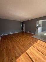 1611 Picadilly Way - Photo 1 of 1