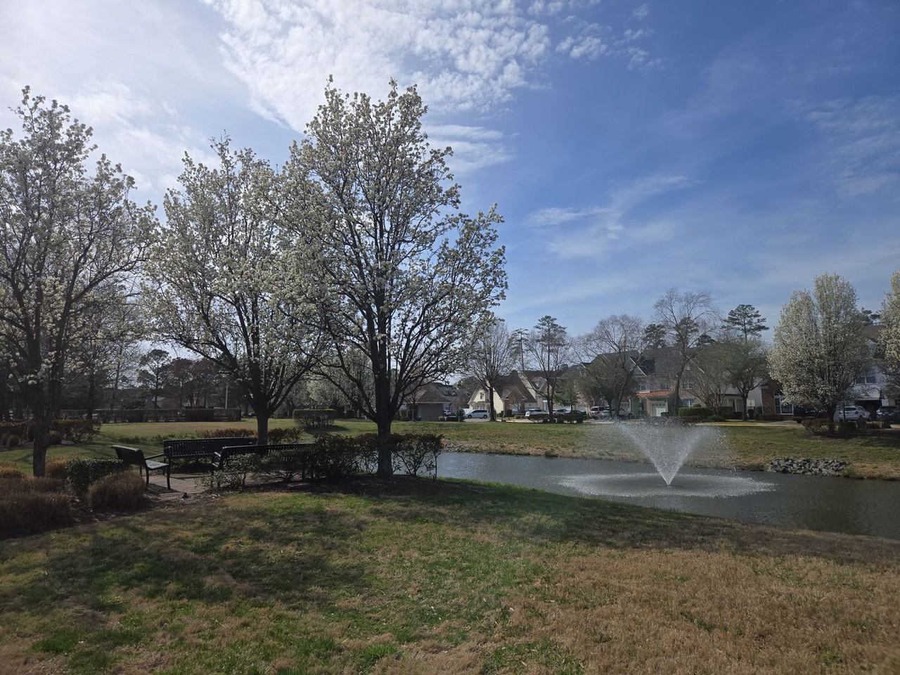 4525 Botany Park Dr - Photo 3 of 37