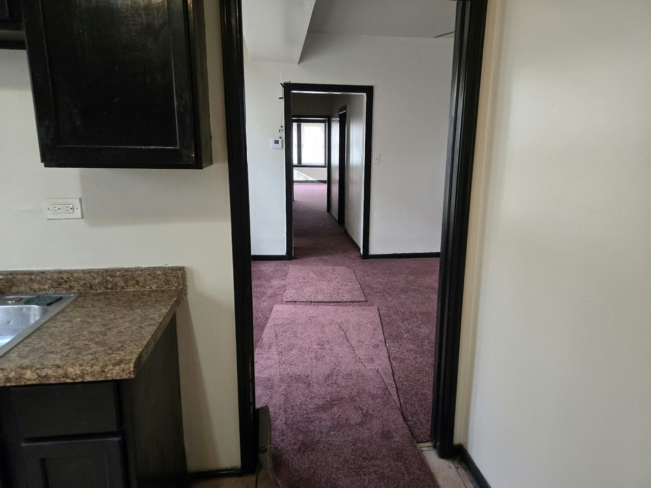 6329 South Loomis Boulevard, Unit 2 - Photo 3 of 4