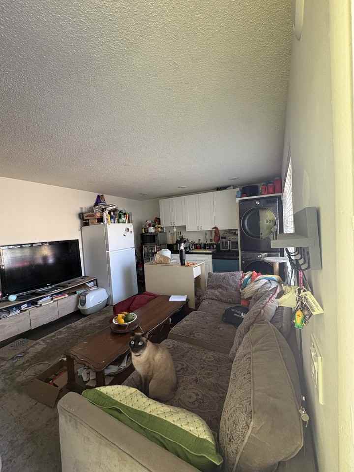 850 Camino Pescadero - 104 #104 - Photo 2 of 11