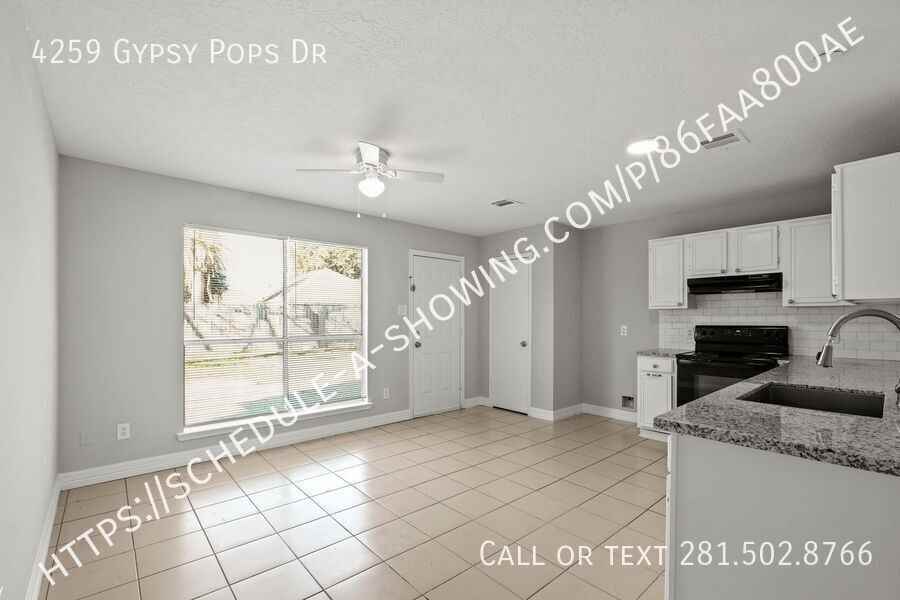 4259 Gypsy Pops Dr - Photo 4 of 11