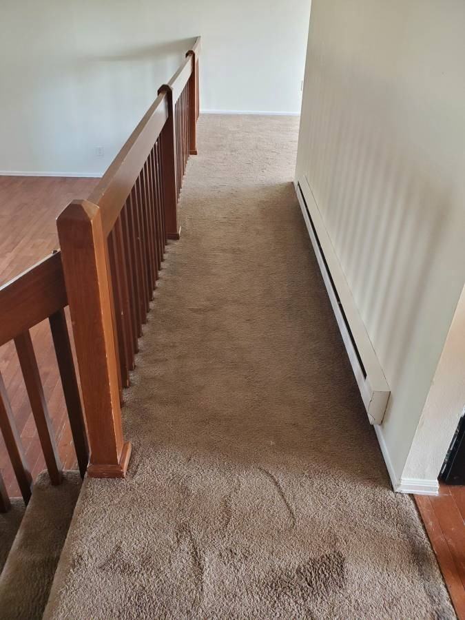 2216 S Eagle Ct - Photo 6 of 20