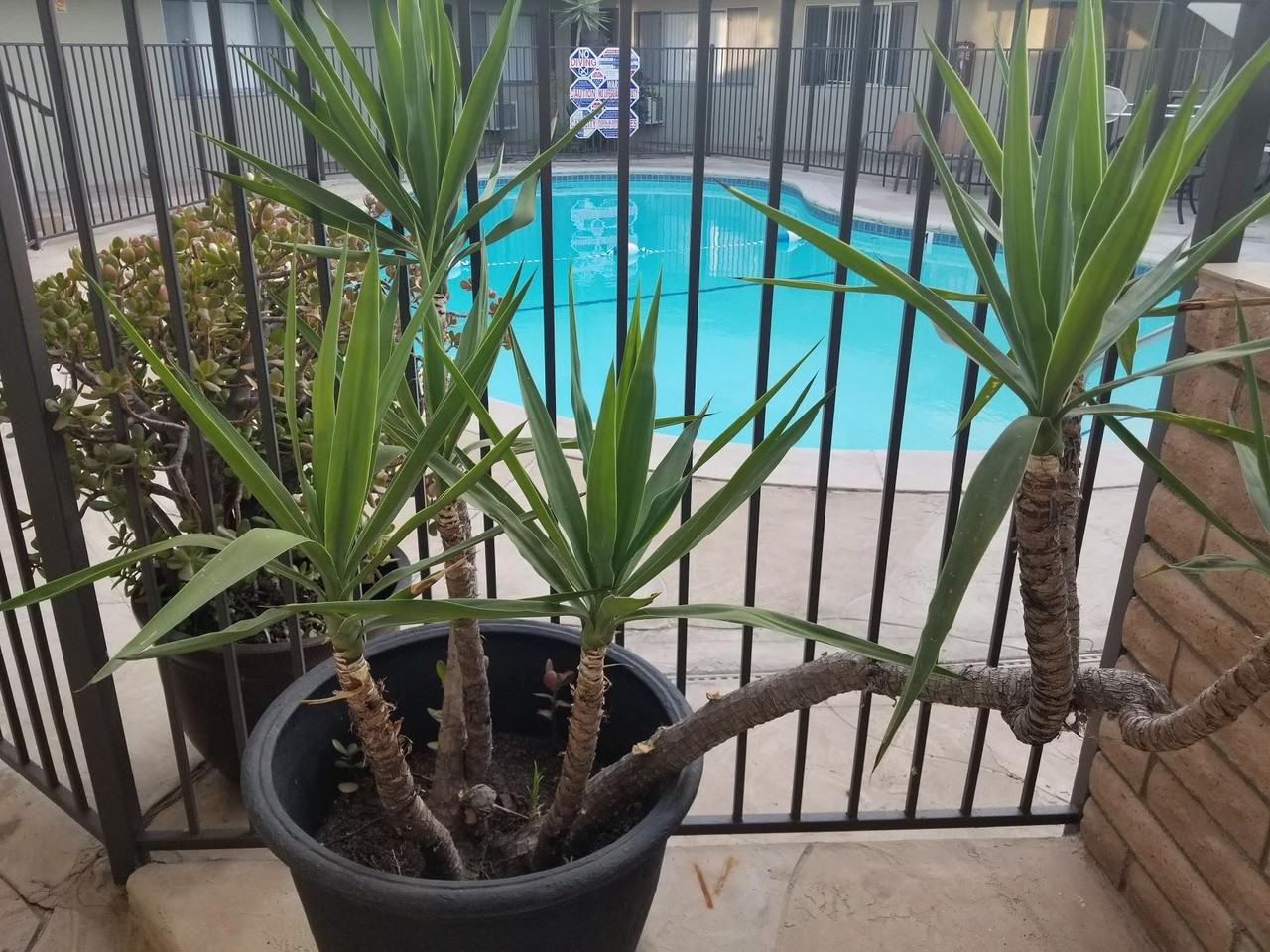 917 E Madison Ave - Photo 3 of 6