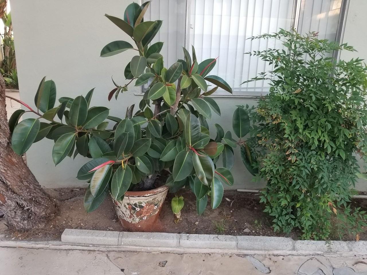 917 E Madison Ave - Photo 6 of 6