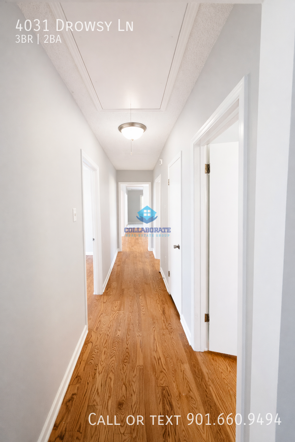 4031 Drowsy Ln - Photo 7 of 17