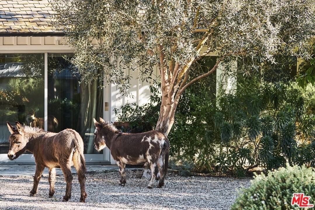 6715 Fernhill Dr - Photo 6 of 42