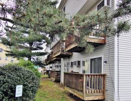 256 Washington Blvd Apt 9 #Apt 9 - Photo 1 of 1