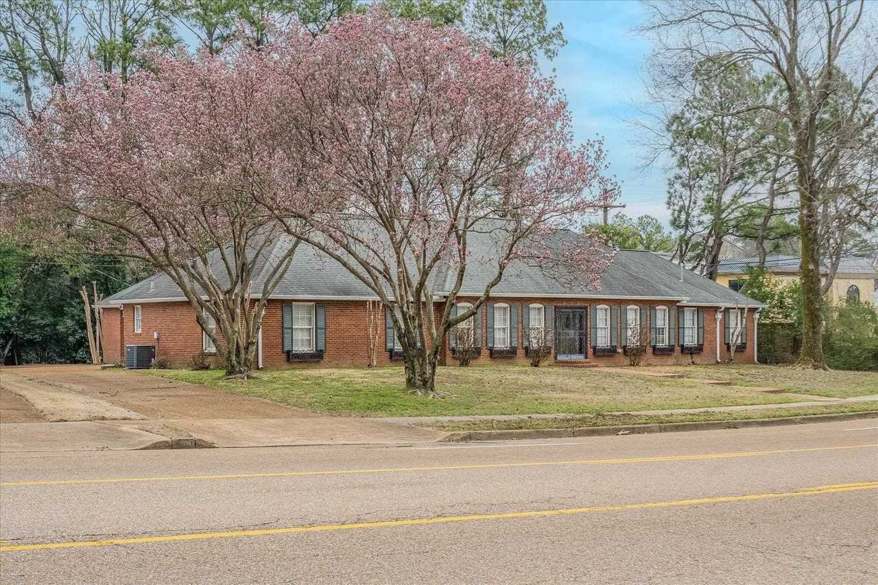 356 Perkins Ext #356 - Photo 3 of 24