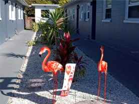 619 90th Ave N #0 - Photo 1 of 1