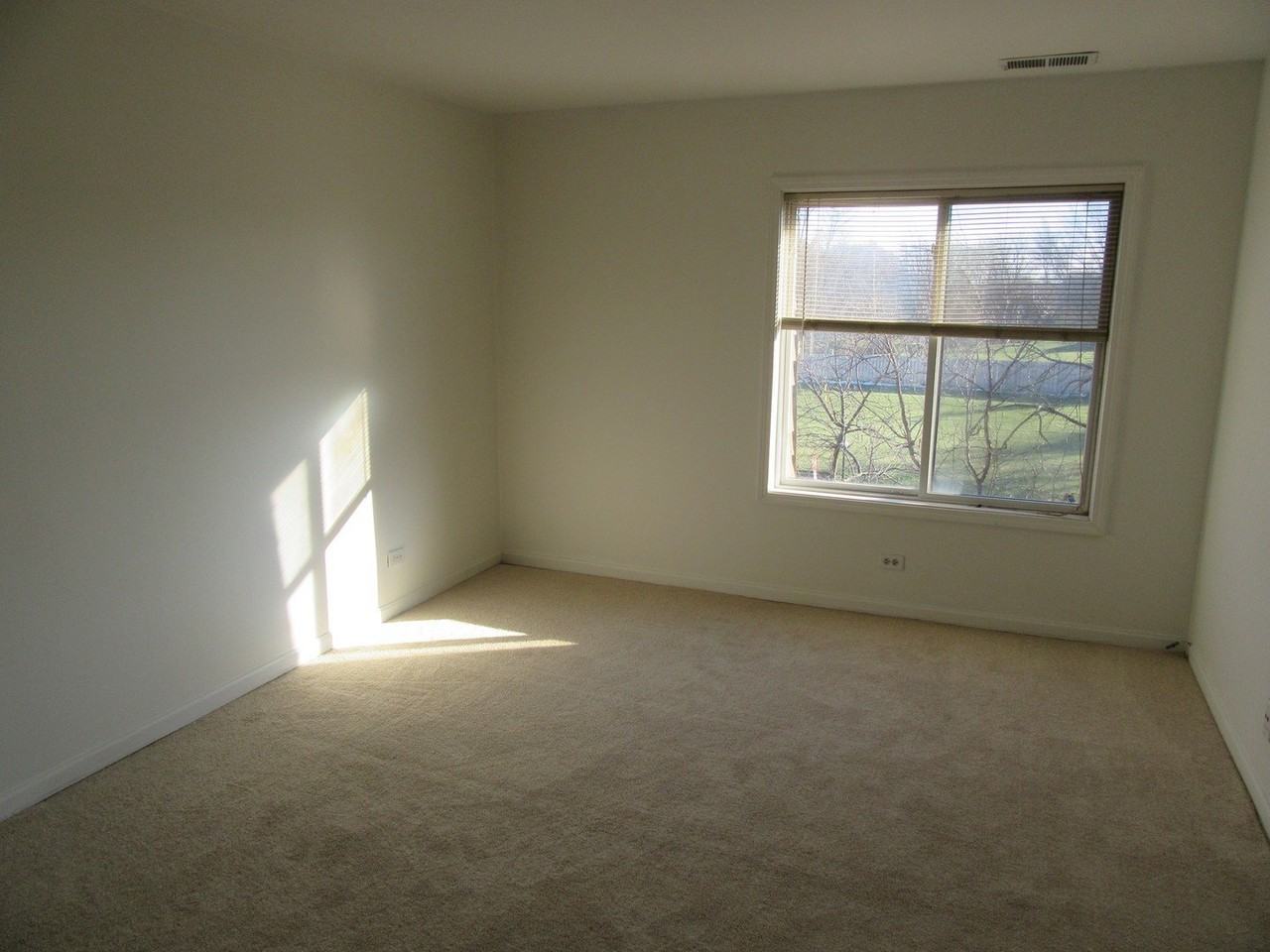 733 Limerick Ln Apt 3d - Photo 7 of 15