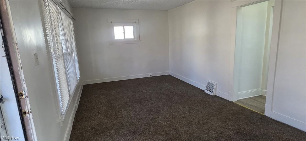 1235 Bellows St - Photo 4 of 33