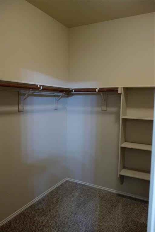 12221 Big Rock Dr - Photo 7 of 27