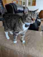 featured image of Whitman Rd