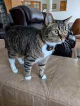 Whitman Rd - Photo 1 of 1