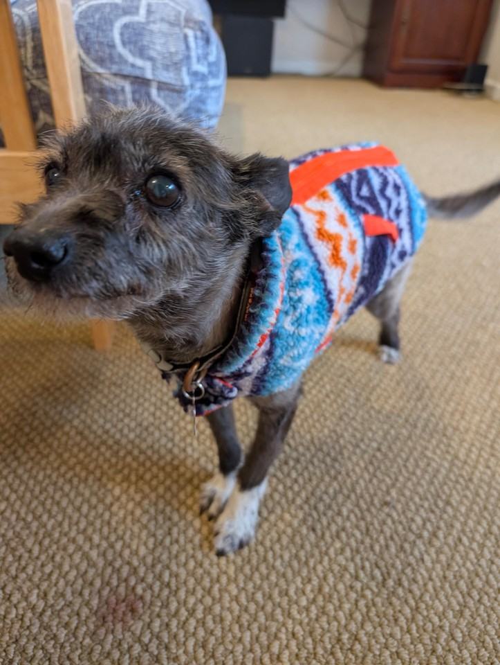 Whitman Rd - Photo 4 of 11