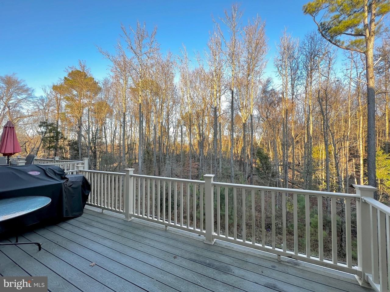 15206 Lady Lauren Ln - Photo 5 of 19