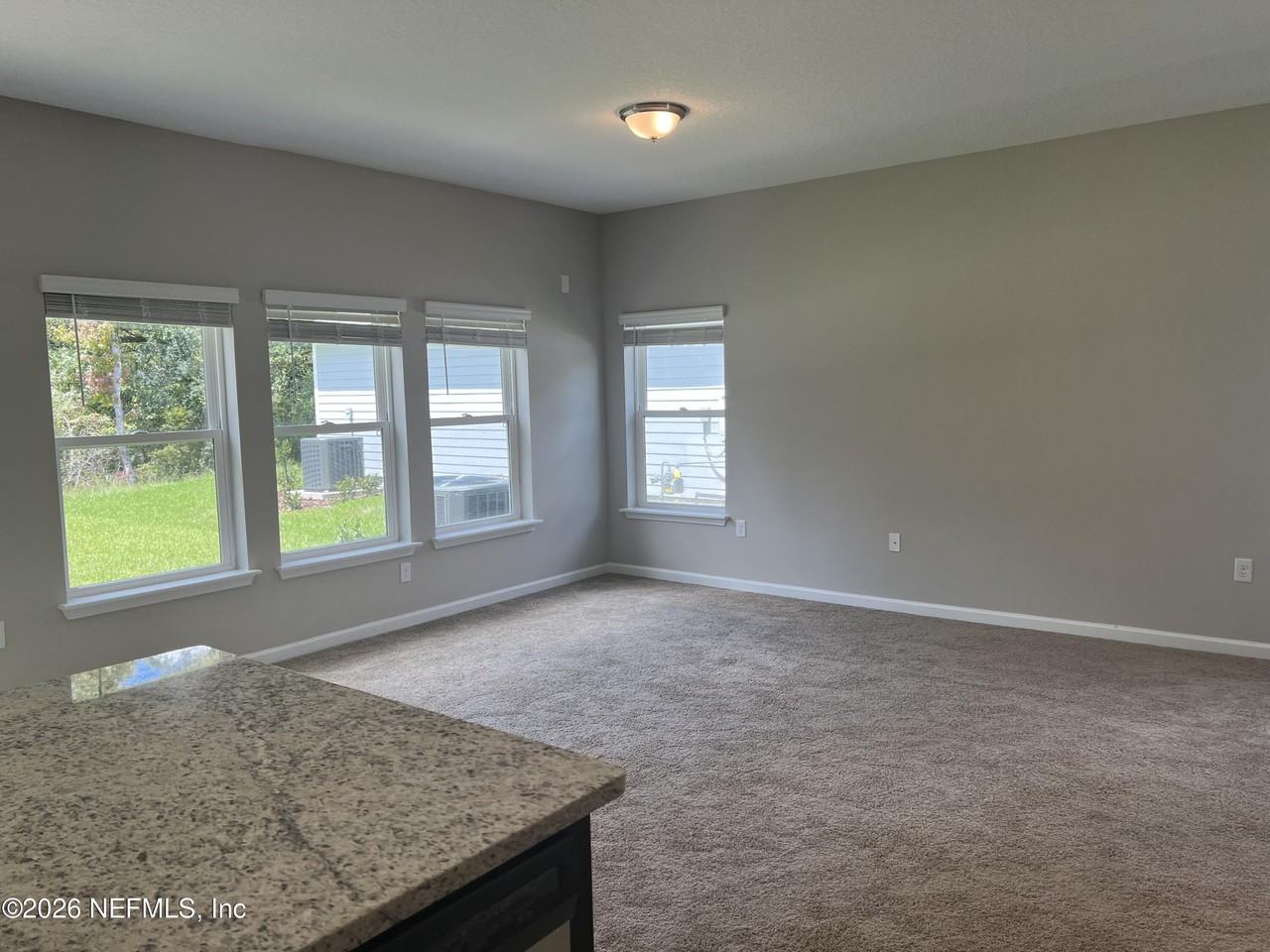 238 Wineberry Ln - Photo 6 of 30