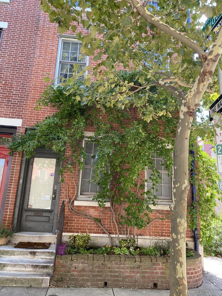 624 Catharine Street - Photo 6 of 50