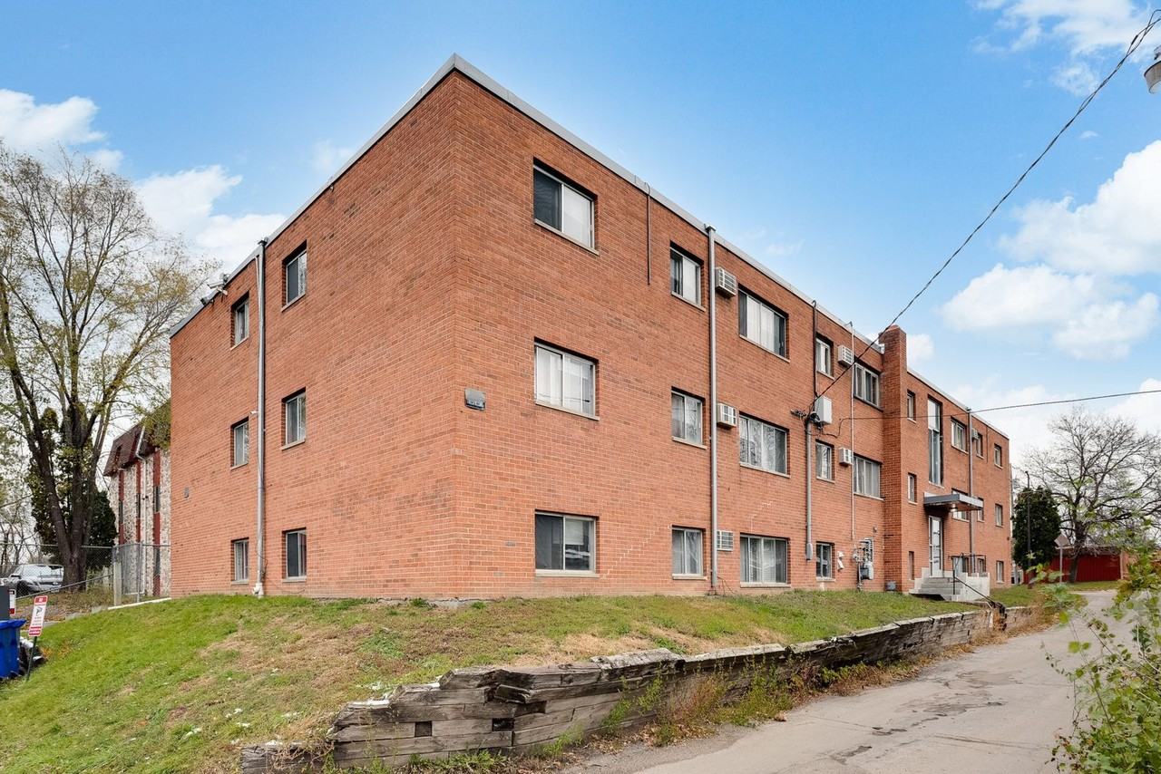 Magnolia - Photo 2 of 50