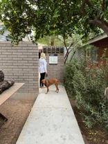 The Corner - Photo 1 of 1