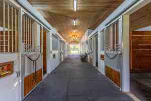 featured image of 14367 Belmont Trce