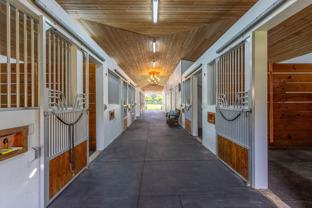 14367 Belmont Trce - Photo 1 of 1