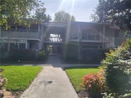 featured image of 731 Avenida Majorca #Q