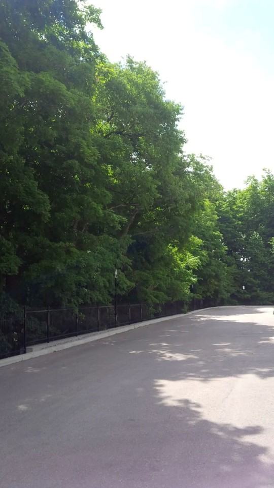 1941 Ottawa St S #12 - Photo 3 of 14