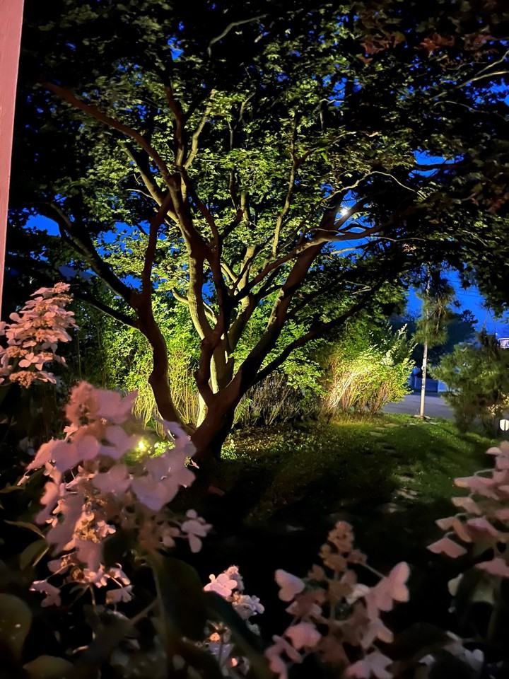 117 Morgan Ave #A - Photo 3 of 14