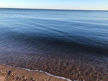 117 Morgan Ave #A - Photo 5 of 14