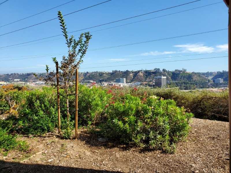 7047 Camino Degrazia #181 - Photo 3 of 24