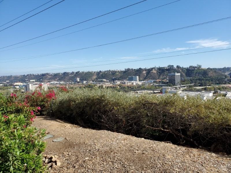 7047 Camino Degrazia #181 - Photo 5 of 24