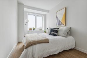 featured image of Madison Ave #3