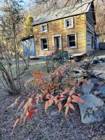 featured image of Chilly Hollow Road