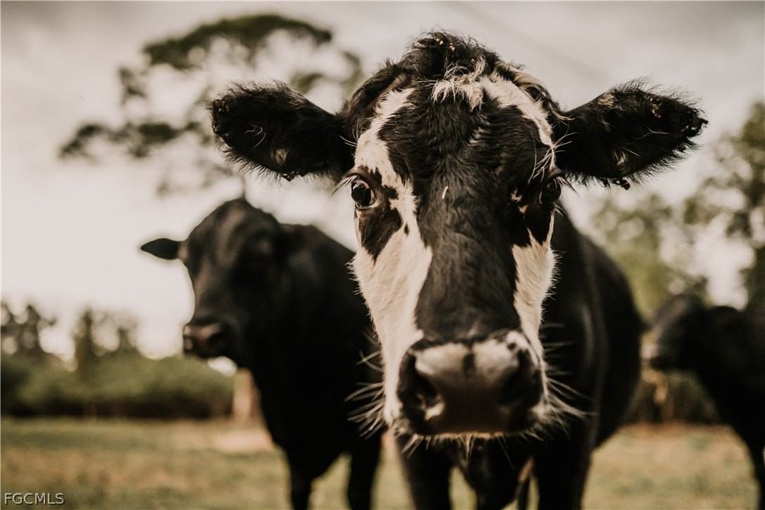 19740 Gottarde Rd - Photo 7 of 12