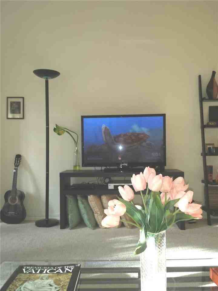 2066 Via Mariposa E #C - Photo 5 of 19