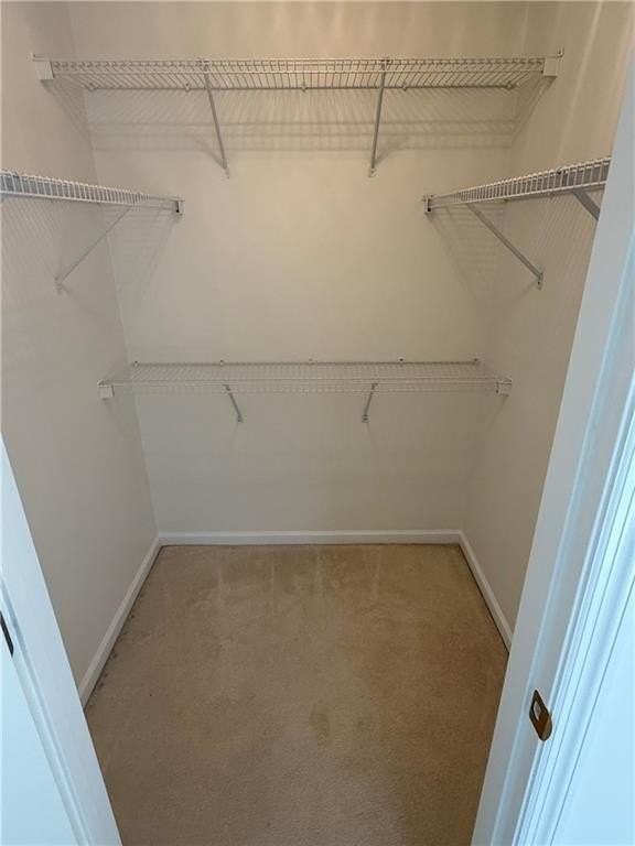 3716 Holland Ct - Photo 6 of 13