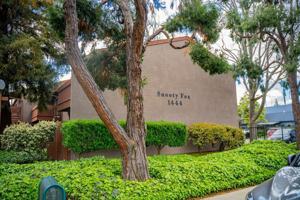 featured image of SNOOTY FOX APTS.