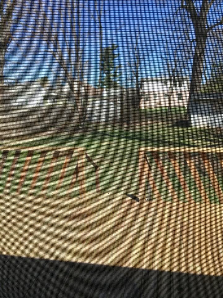 222 W Molloy Rd - Photo 6 of 15