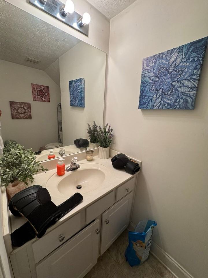 237 Wiltshire Dr - Photo 6 of 23