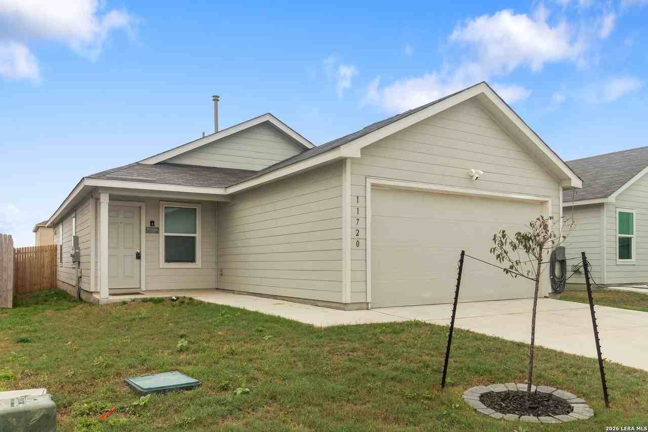 11720 Arctic Rose - Photo 2 of 16