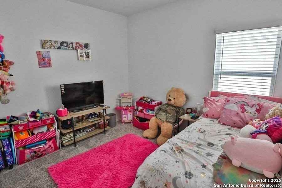 5867 Hematite Rim - Photo 7 of 16